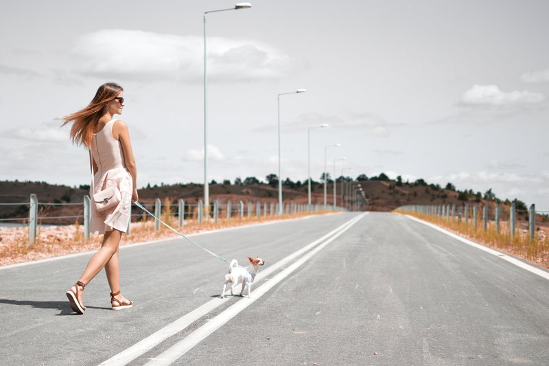 Woman in dress walking a dog