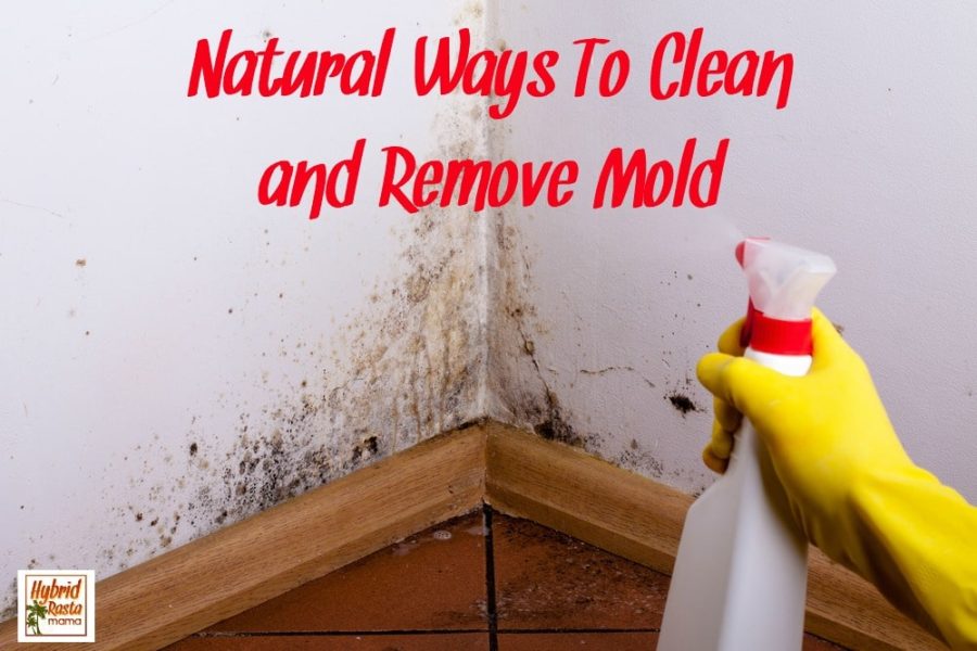 Cleaning mold on the wall with a spray bottle
